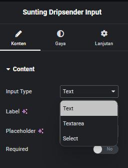 Pengaturan configurasi Dripsender Input